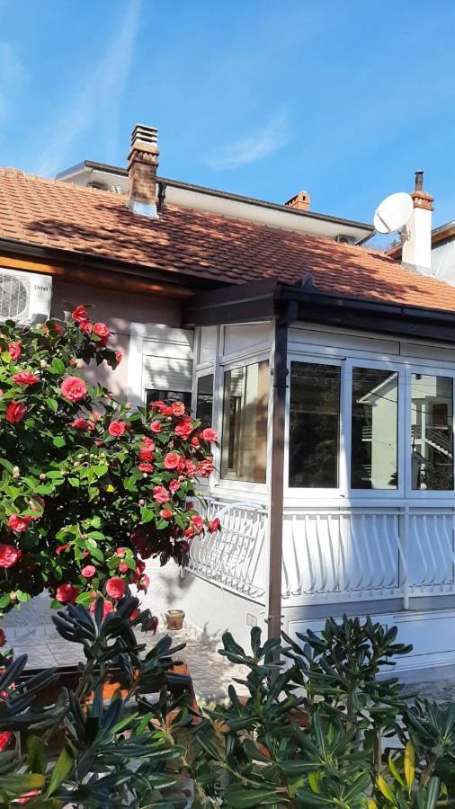 Lalovina Apartment Herceg Novi Eksteriør billede